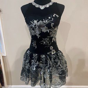 Shimmering Black and Silver Costume